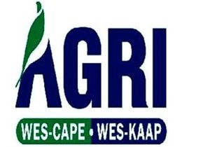 PERSPEKTIEF OOR BEPLANDE STAKINGS IN WES-KAAP